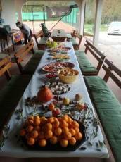 Martinov turnir 2016 - 12.11.2016